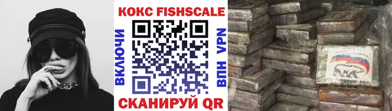 Cocaine FishScale  darknet как зайти  Артёмовск  наркотики 