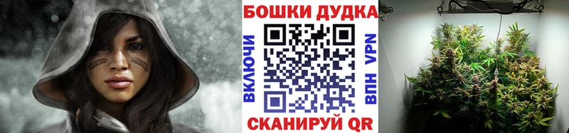 это как зайти  как найти наркотики  МЕГА   Артёмовск  Шишки марихуана сатива 